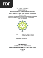 Download Makalah Kambing Etawa by MohamadRedzka SN227765724 doc pdf