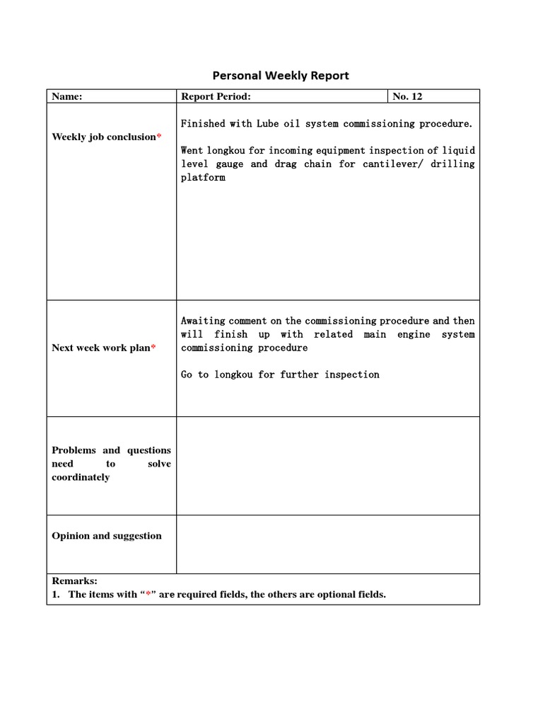 Reporting Format | PDF