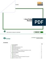 Guia resolucion problemas.pdf