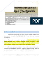 Aula 01 - Cultura Organizacional PDF