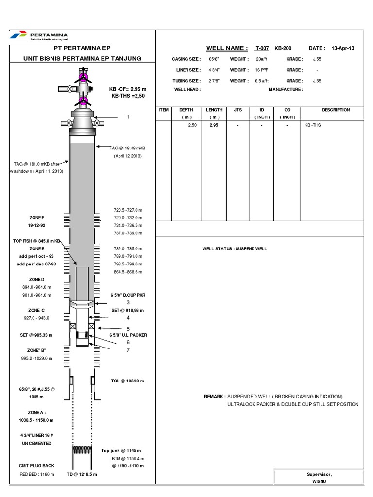 Well Profile T-007 WP2013-04 | PDF | Science & Mathematics | Computers