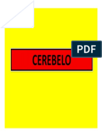 CEREBELO (Modo de Compatibilidad)