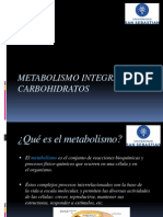 Metabolismointegradodecarbohidratos 131006183249 Phpapp02