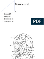 Calculo Renal