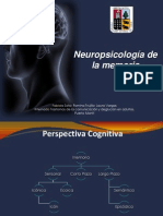 Memoria: perspectiva cognitiva, procesos y evaluación