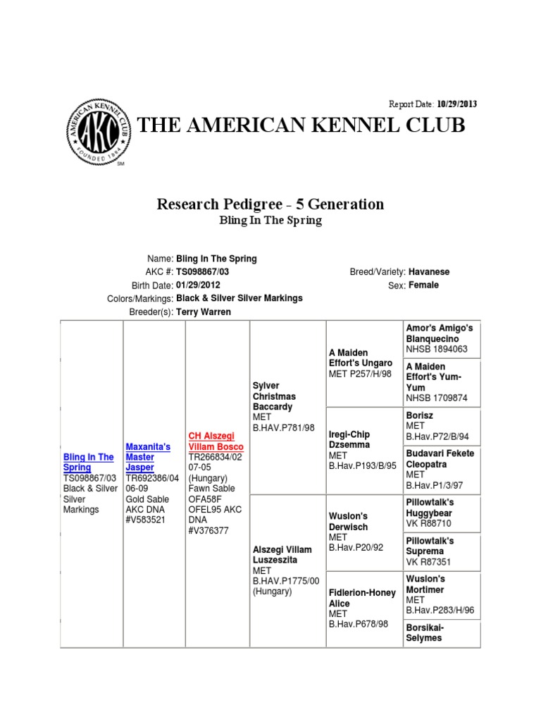 How to research akc pedigree
