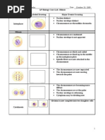 Download Lab Mitosis by nowlik56 SN22784457 doc pdf