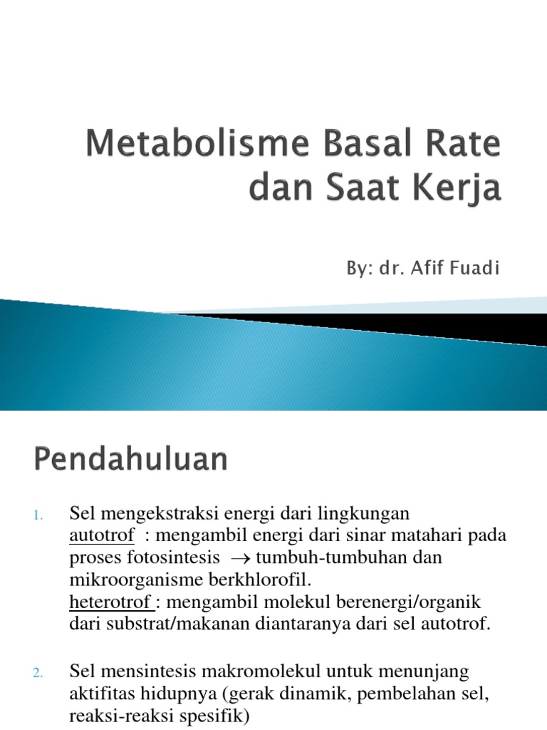 Metabolisme Basal