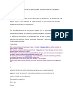 El Carbón Activado CG 900 Es Un Carbón Vegetal Fabricado a Partir de Cáscara De