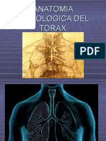 Anatomia radiologica del torax 