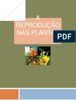 A Reprodução Nas Plantas - Cn