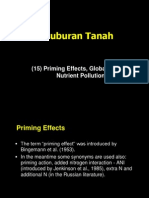 (15) Priming Effect