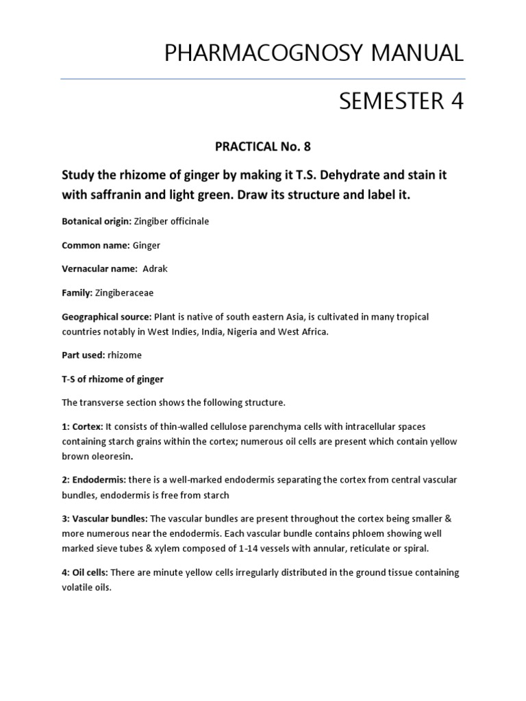 Ginger 4 PDF Plant Morphology Physiology