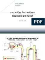 Filtracion Secrecion y Reabsorcion Renal