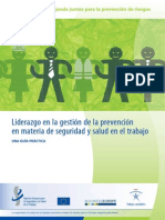 Liderazgo en Seguridad. Trabajando Juntos 2013.pdf