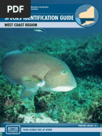 SA Fishing Size and Bag Limits Guide | PDF | Fish | Fish And Humans