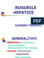 VIRUSURILE HEPATICE