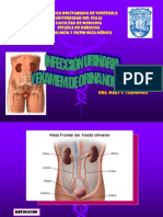 Infeccion Urinaria