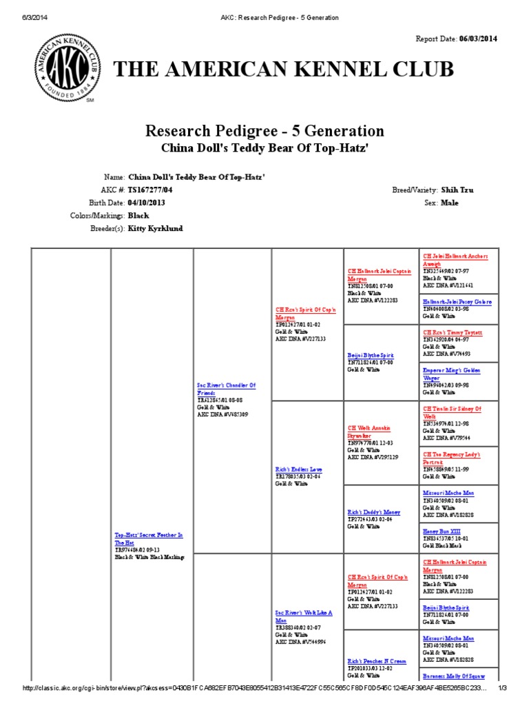 Teddy Pdf American Kennel Club Dogs
