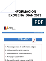 Exógena DIAN 2013