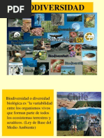 Arch 13074529052014 3464 Biodiversidad Resumen