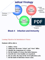 V-L1 Virology Intro- 2013