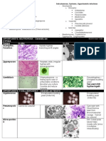 Mycology Morphology Guide