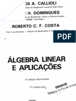 Algebra Linear e Aplicacoes - Callioli
