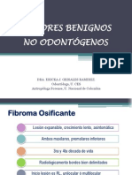 3. Tumores Benignos No Odontogenos