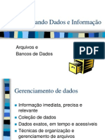 Organizando Dados e Informação