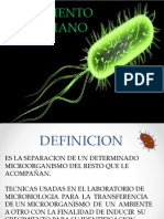 Aislamiento Bacteriano