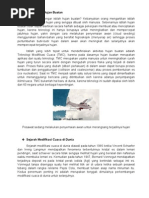 Download Terminologi Hujan Buatan  by famino SN22803102 doc pdf