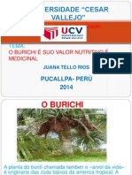 O Burichi