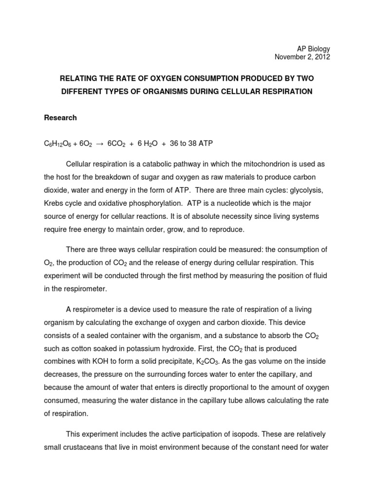 Portfolio Cellular Respiration Lab Report PDF Respiratory System