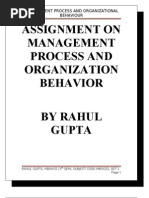 Download Assignment on Management process and Organization Behavior by diplococcous SN22803942 doc pdf