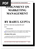 Download Assignment on Marketing Management by diplococcous SN22803987 doc pdf