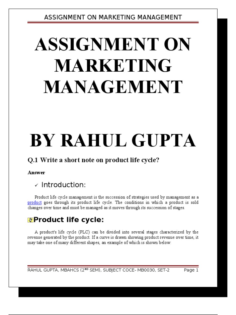 Marketing and management Assignment