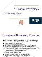 Respiratory System Overview and Gas Exchange