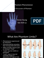 a discussion of phantom limbs