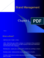 Strategic Brand Management: Paswan