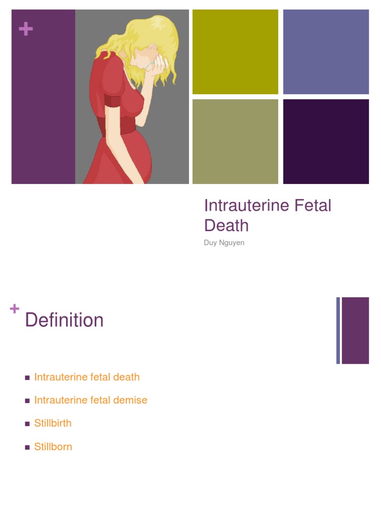 Understanding Intrauterine Fetal Death | PDF | Fetus | Pregnancy
