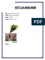 Proiect La Biologie: Elev:Petrescu Alexandra Maria Profesor: Carmen Ciuculescu Clasa: A Va B Scoala:C.N. Carol "I"