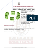 SOL TI Caracteristicas Unidades Estrategicas Negocio