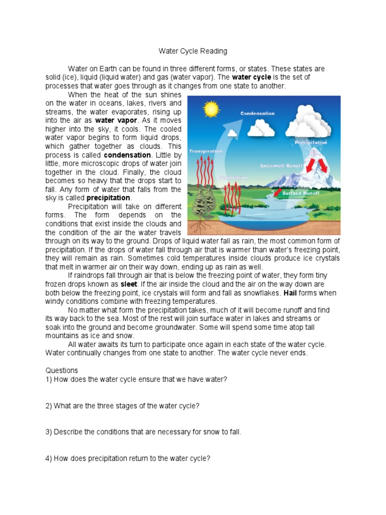 Water Cycle Reading | PDF | Science & Mathematics