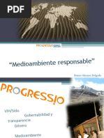 Responsabilidad Social y Medio Ambiente