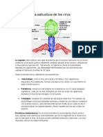 Estructura Virus