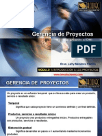 Introduccion A Gerencia de Proyectos