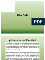 81016702 Excale Pisa Enlace