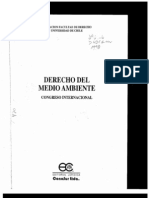 Responsabilidad Civil en Materia Del Medio Ambiente 1998