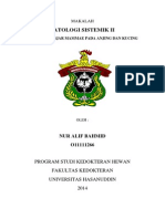 Makalah Patologi Sistemik II - Nur Alif Bahmid - O11111266